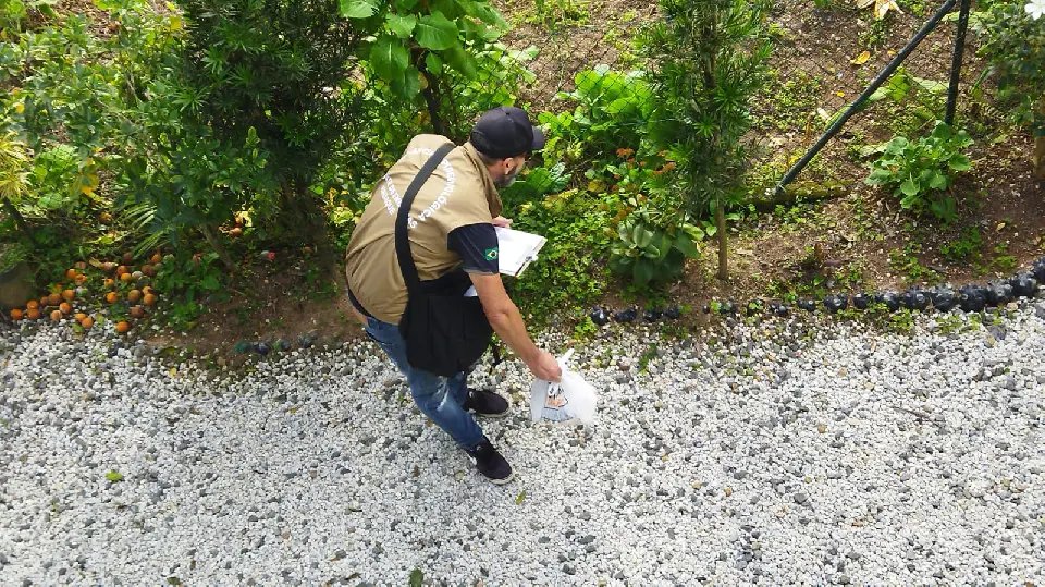 Brusque atualiza dados da Dengue da última semana