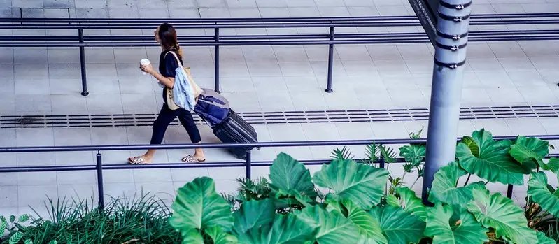 Aeroportos de SC registram crescimento de 19% na entrada de passageiros