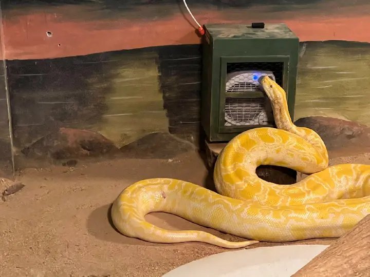 Conheça as ações que o Zoobotânico realiza com os animais durante o frio