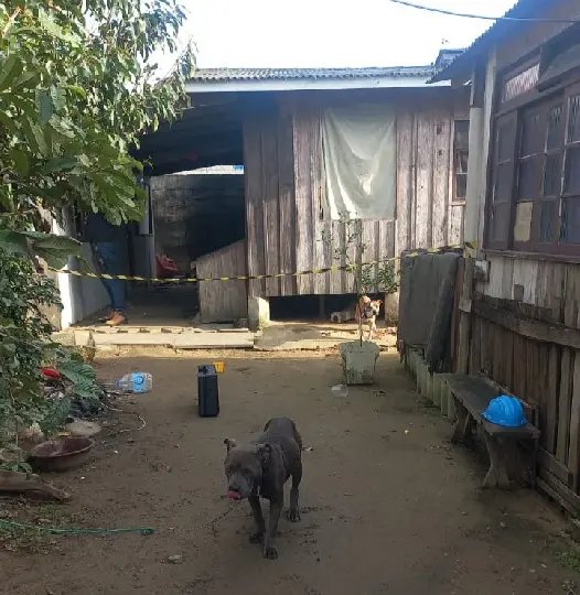 Homem mata mulher e pede ajuda a vizinho no dia seguinte 