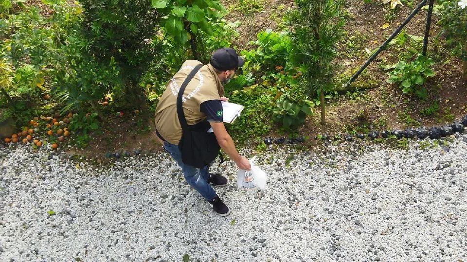 Saúde atualiza números da dengue em Brusque 