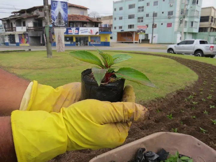 Horto florestal e o embelezamento de Brusque