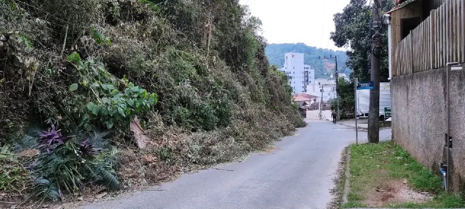 Galhos não recolhidos atrapalham passagem na Rua José Adriano