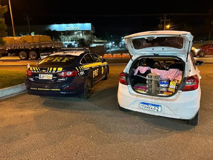 PRF localiza pássaros silvestres em porta-malas de veículo