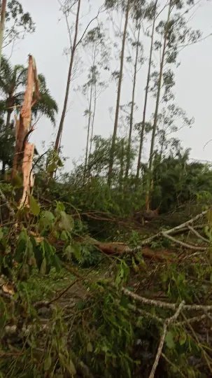 Temporal volta a castigar São João Batista 