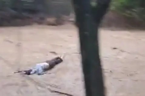(VÍDEO) – “Corpo” boiando em rio de Vidal Ramos era um manequim 