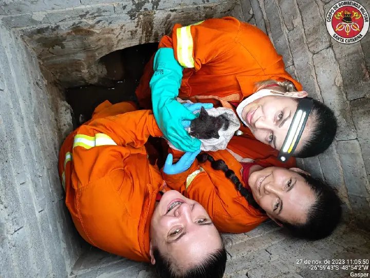 Filhote de gato é resgatado após horas preso em tubulação 