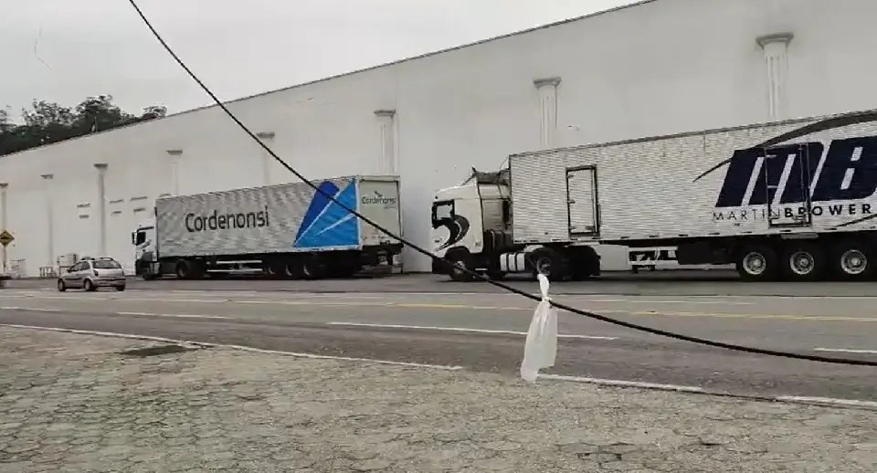 Procon reativa serviço de denúncia sobre fios caídos