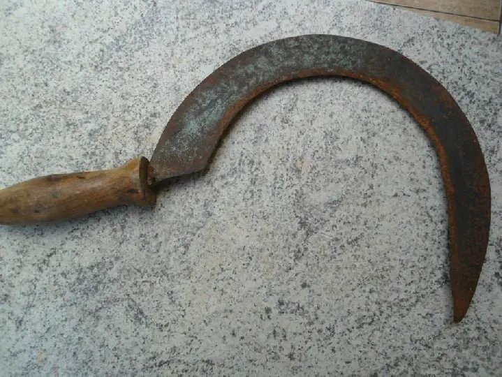 Briga de foice resulta em homem com perna amputada em SC