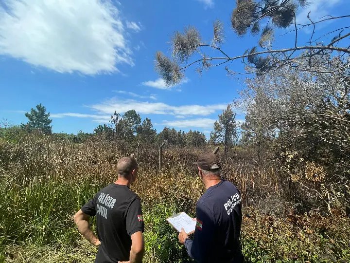 Força tarefa apura causas do incêndio no Parque da Serra do Tabuleiro