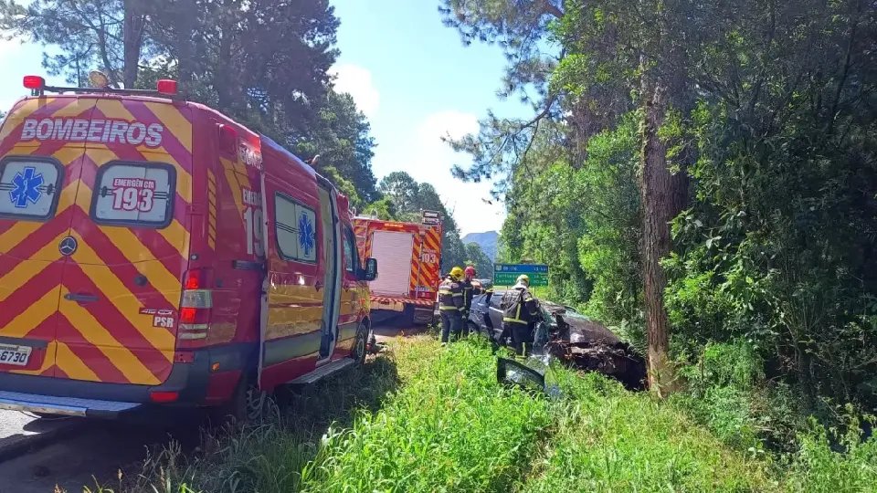 Carro sai da pista, bate em árvore e causa tragédia em rodovia catarinense