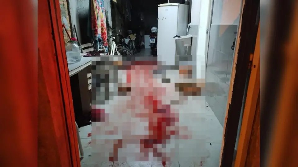 Homem mata esposa a facadas e criança fica ferida 