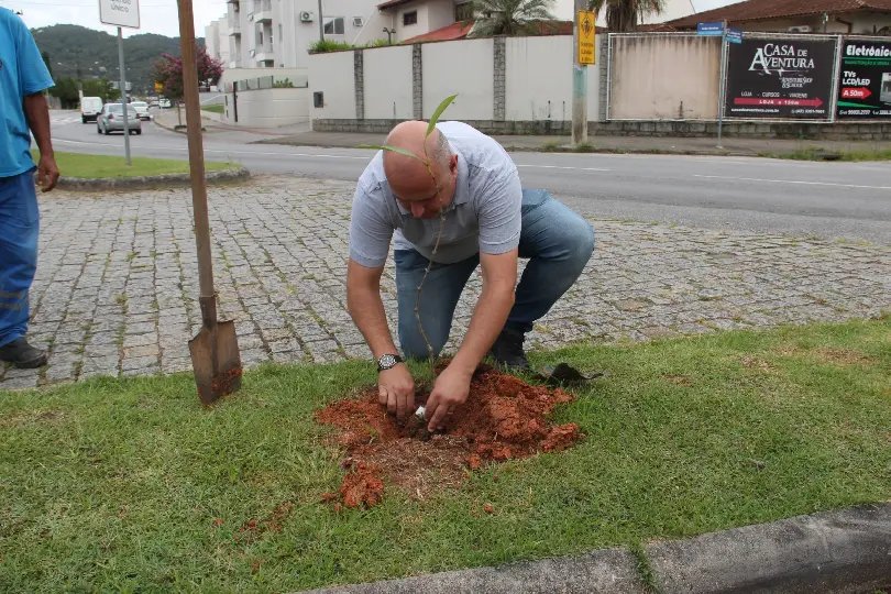 Arborização em Brusque: projeto piloto planta 84 novas árvores frutíferas