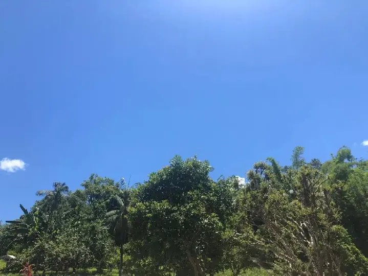 Onda de calor traz temperaturas elevadas nesta semana