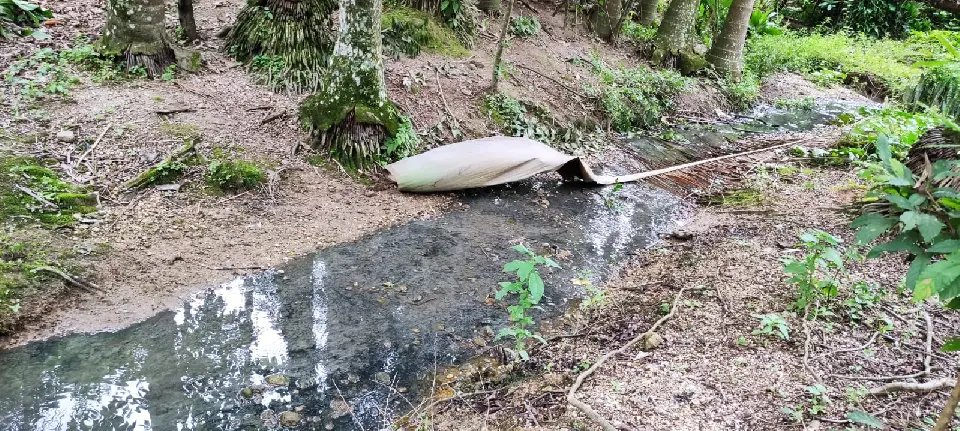 (VIDEO) 30 Anos à espera de solução para esgoto a céu aberto