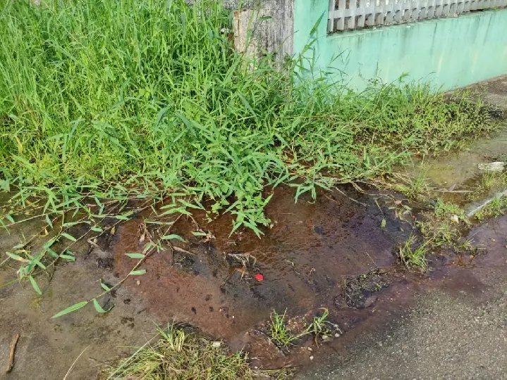 Moradores reclamam sobre água de terreno e proprietário se manifesta 