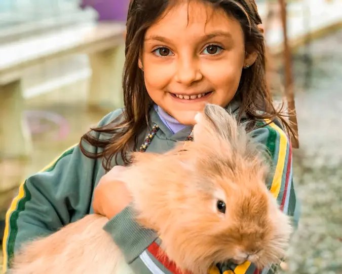 Escolas de Campo: um refúgio de Educação e contato com a natureza