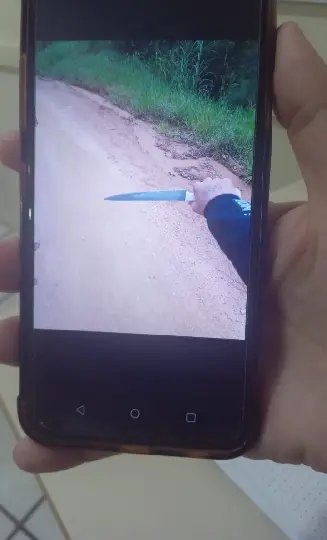 Adolescente tenta invadir escola e acaba morto pela polícia