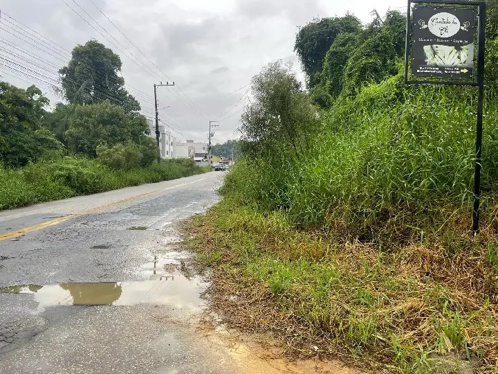 (VÍDEO) Mato continua tomando conta de rua no Rio Branco 