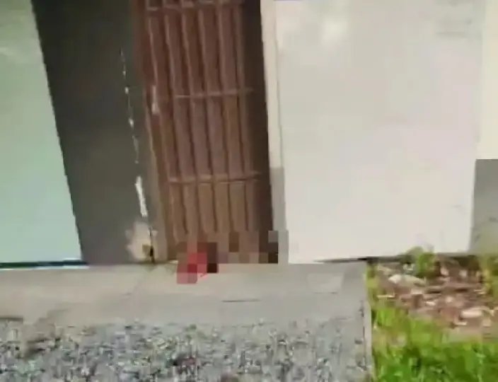 Restos mortais de corpo decapitado são encontrados