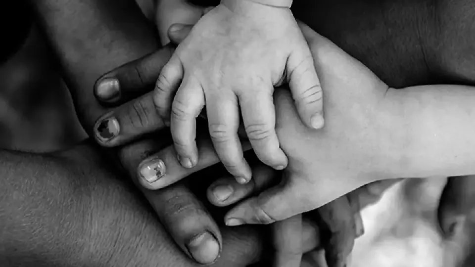 Comitê de Proteção da Criança e Adolescente debate Escuta Especializada 