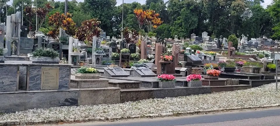 (VÍDEO) Equipes fazem limpeza no cemitério municipal