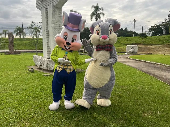Confira as próximas ações da OsternBrusque 