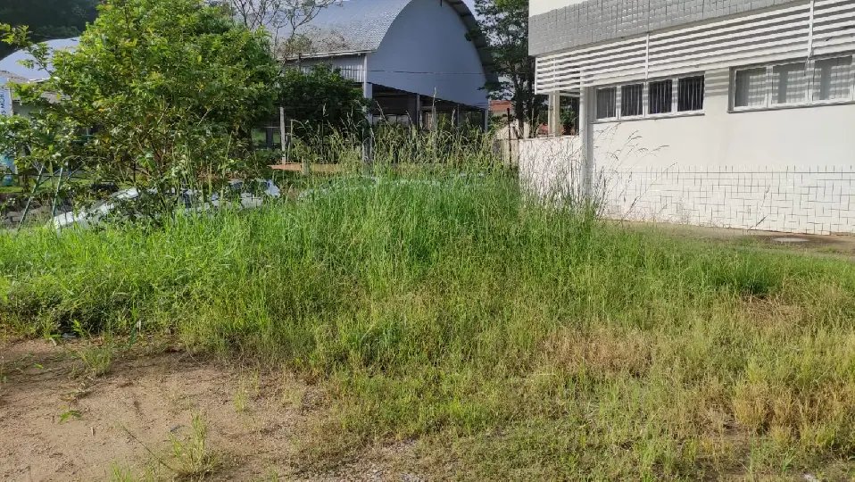 (VÍDEO) Moradores relatam falta de manutenção ao redor da UBS