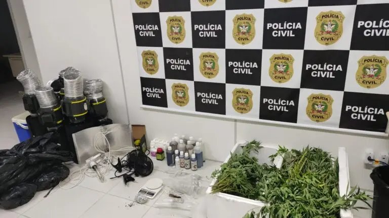 Polícia cumpre mandado e encontra pés de maconha 