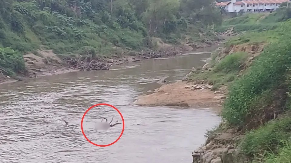(URGENTE) Corpo é encontrado no rio Itajaí-mirim, em Brusque