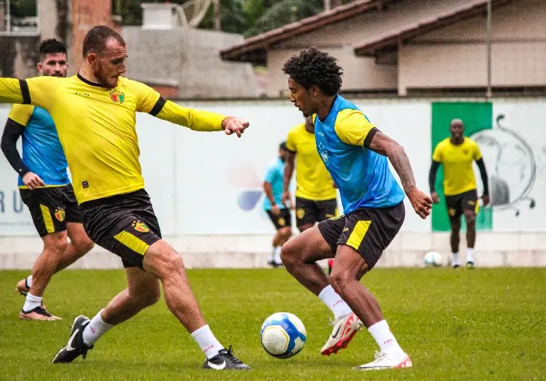 Brusque inicia preparação para a quarta Série B