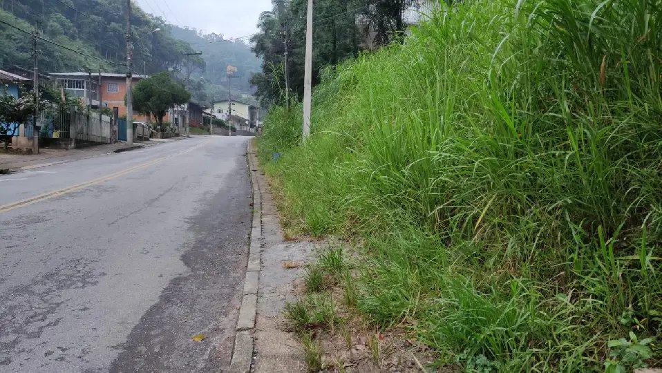 (VÍDEO) Mato toma conta de trecho na Rua Nova Trento