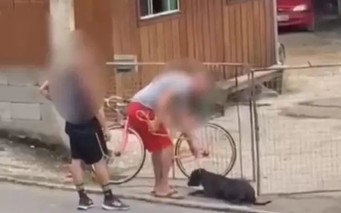 (VÍDEO) Tutor agride cachorro com chicotadas