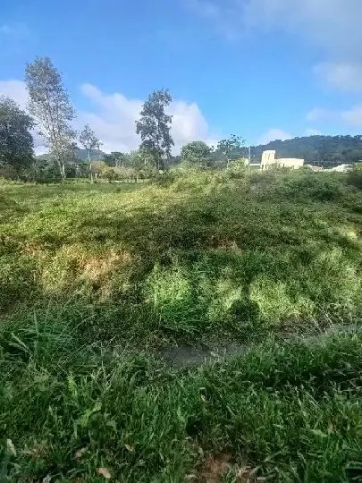 Identificado homem encontrado morto em córrego no Limoeiro