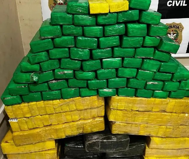Polícia apreende meia tonelada de maconha 