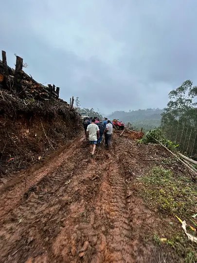 Operação resgata homem atingido por árvore em Botuverá 