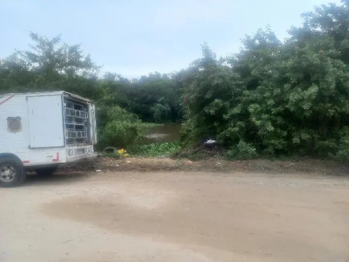 Corpo é achado sem cabeça na margem de rio, em Itajaí