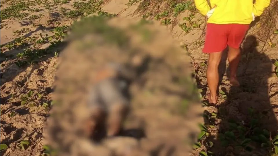 Homem é encontrado morto em praia da região
