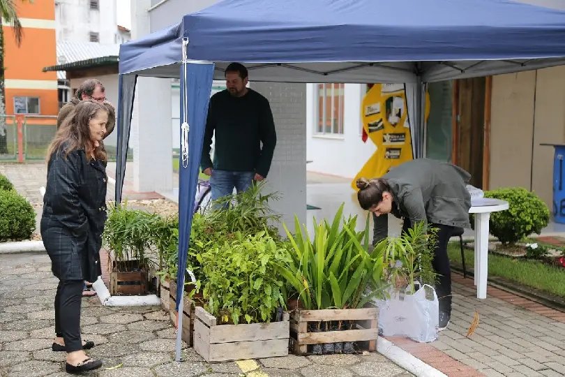 Prefeitura distribuirá mudas nativas em Guabiruba