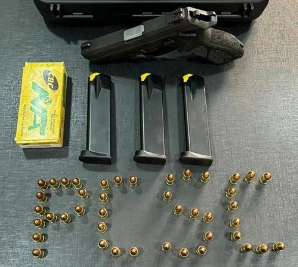 Investigação leva Polícia a apreender arma e munições
