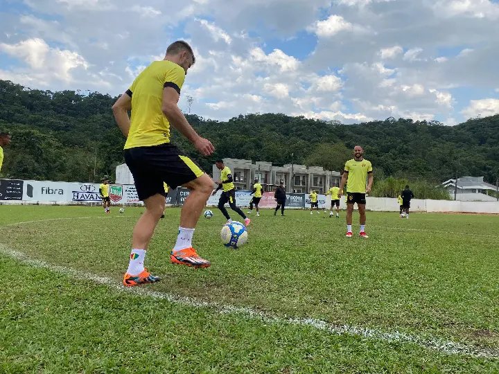 Quadricolor se reapresenta e foca no Amazonas