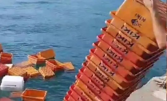 (VIDEO) Pescador joga caixas de peixe no mar após não receber pagamento 