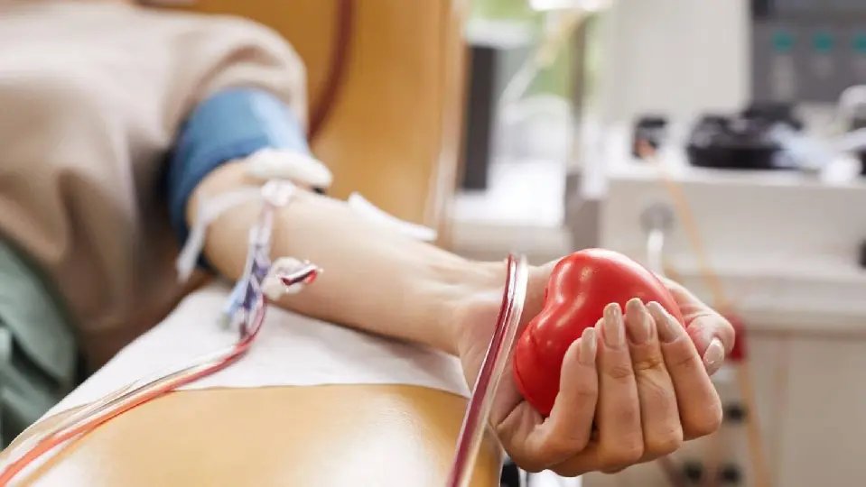 Definidas datas para doação de sangue no segundo semestre