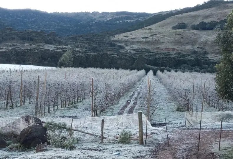 Cidades catarinenses amanhecem com temperaturas negativas e geada