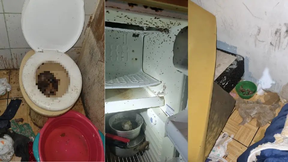 Crianças abandonadas são encontradas em condições insalubres 