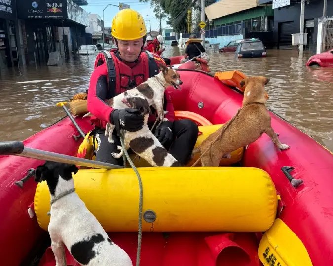 Bombeiros de SC finalizam operação no Rio Grande do Sul