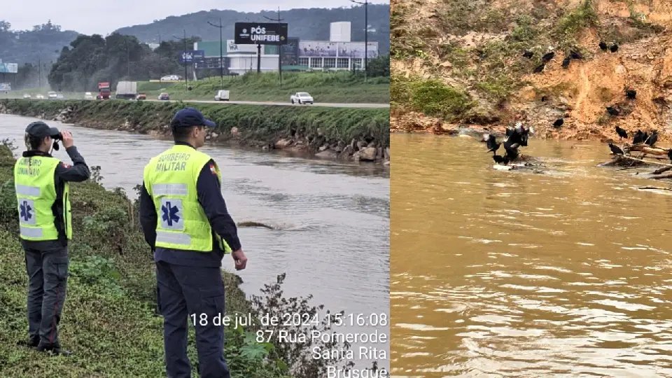 Buscas pelo homem desaparecido no rio chegam ao quinto dia