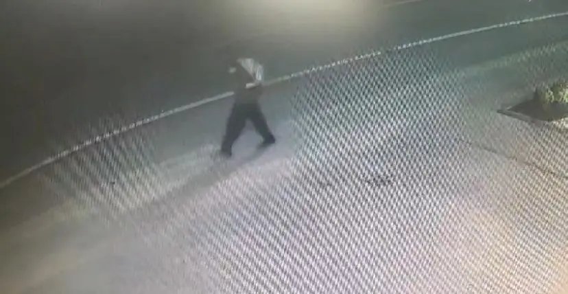 Autor de 9 furtos em Brusque é condenado a 21 anos de prisão