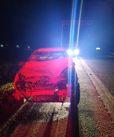 Carro fica destruído ao atropelar e matar cavalo em Gaspar