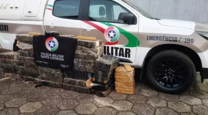 PM encontra mais de meia tonelada de maconha às margens da BR-158